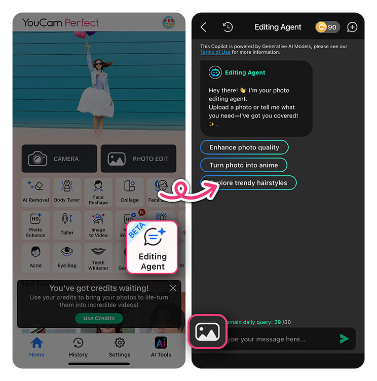 Select Editing Agent on YouCam Perfect