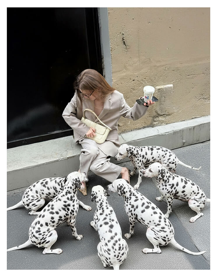 AI Dog Prompt 1: Dalmatians