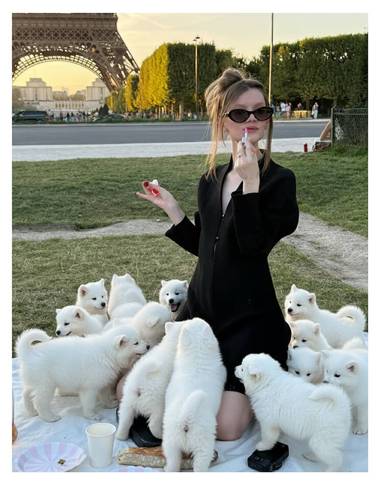 AI Dog Prompt 2: Samoyed Puppies