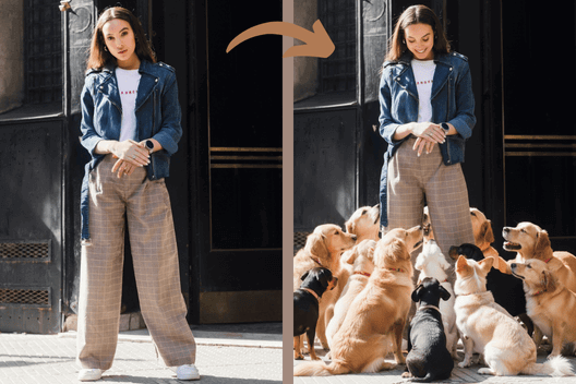 Add puppies to your photo Add puppies to your photo