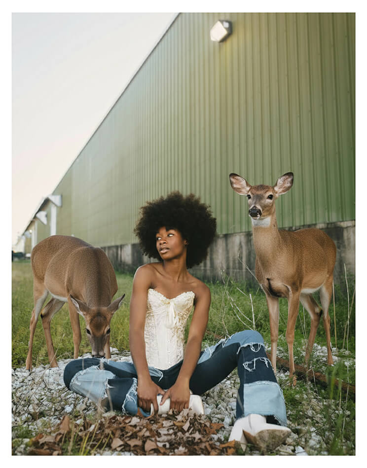 AI Animal Prompt 1: Deer