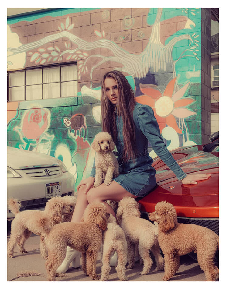 AI Dog Prompt 3: Poodles