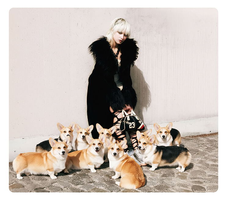 Tap Save to download your finished puppy photo