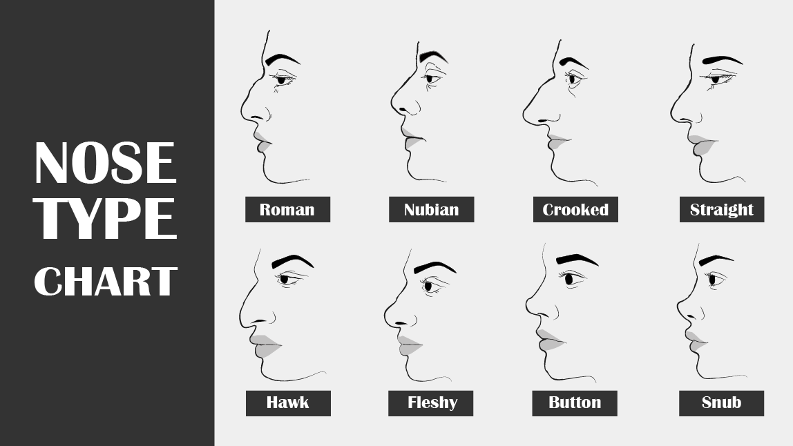 Nose Type Chart Nose Shapes_roman_greek_hawk_snub_button_crooked_nubian_fleshy