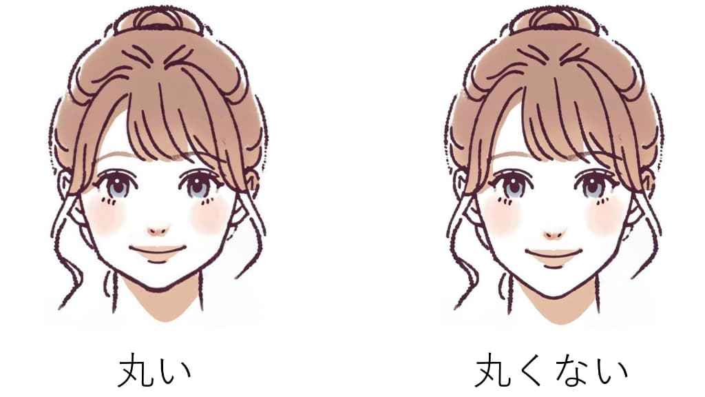 顔の輪郭が丸い？