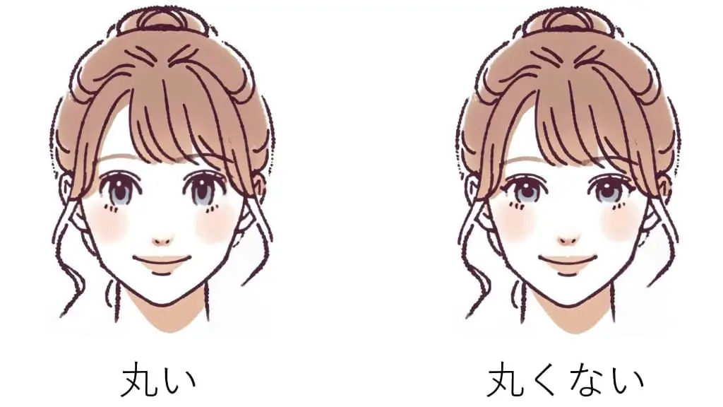 目は丸い？