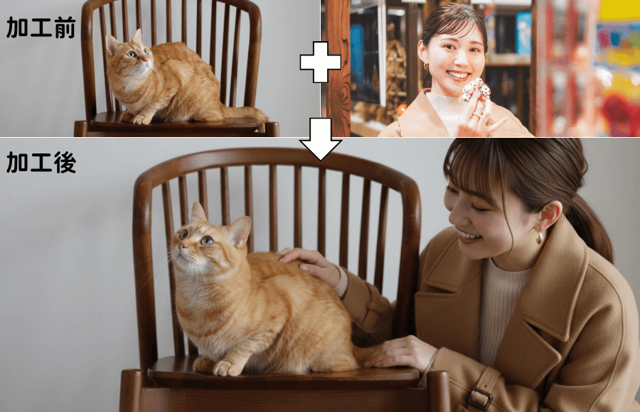 女性が猫をなでる画像に合成