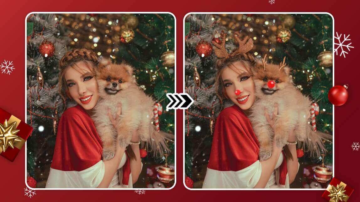 Reindeer Filter: What My Pet & I'd Look Like as a Reindeer with AI