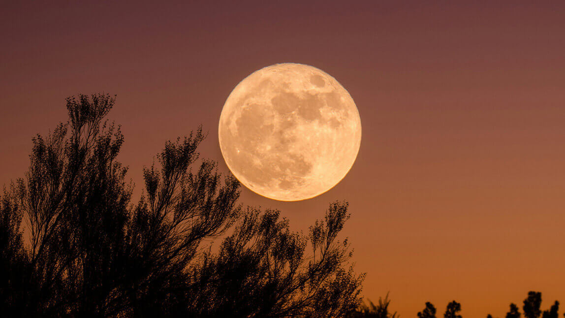 Scharfes Foto vom Mond mit Vordergrundelementen