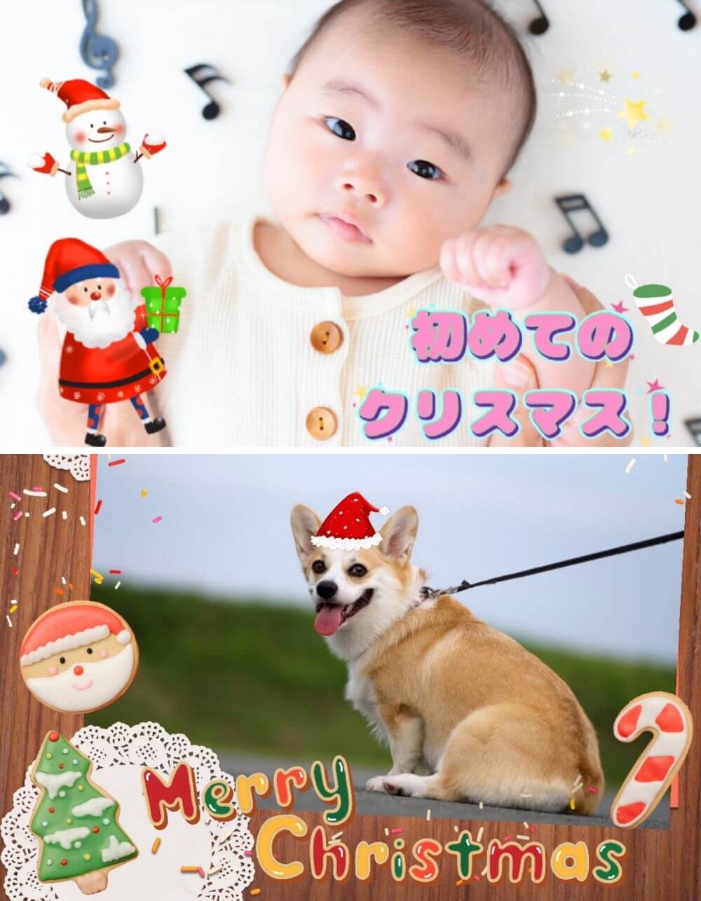 赤ちゃんとペットのクリスマス加工写真