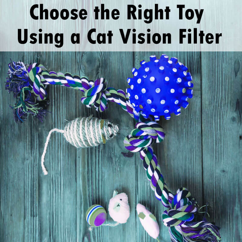 Escolha o brinquedo certo com filtro de visão de gato Comparação de cores de brinquedos na visão humana e visão de gato