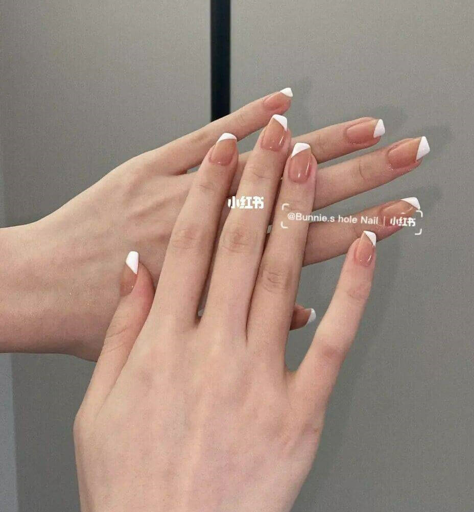 波士頓白色法式 波士頓白色法式