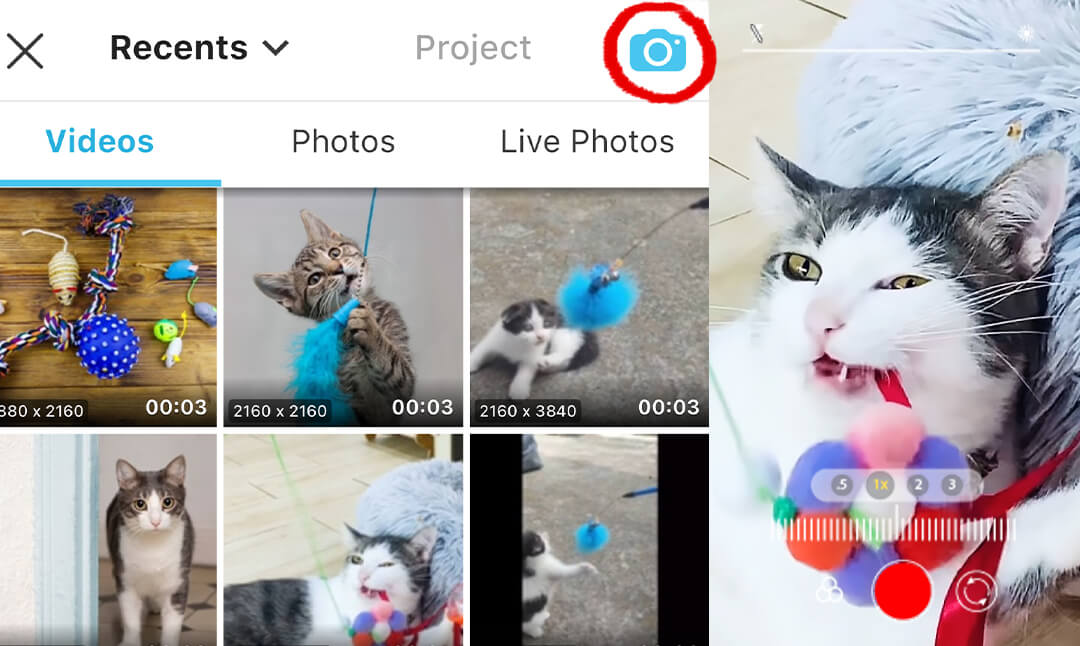 Grave um vídeo para aplicar o filtro de gato Grave ou envie um vídeo para aplicar o filtro de visão de gato