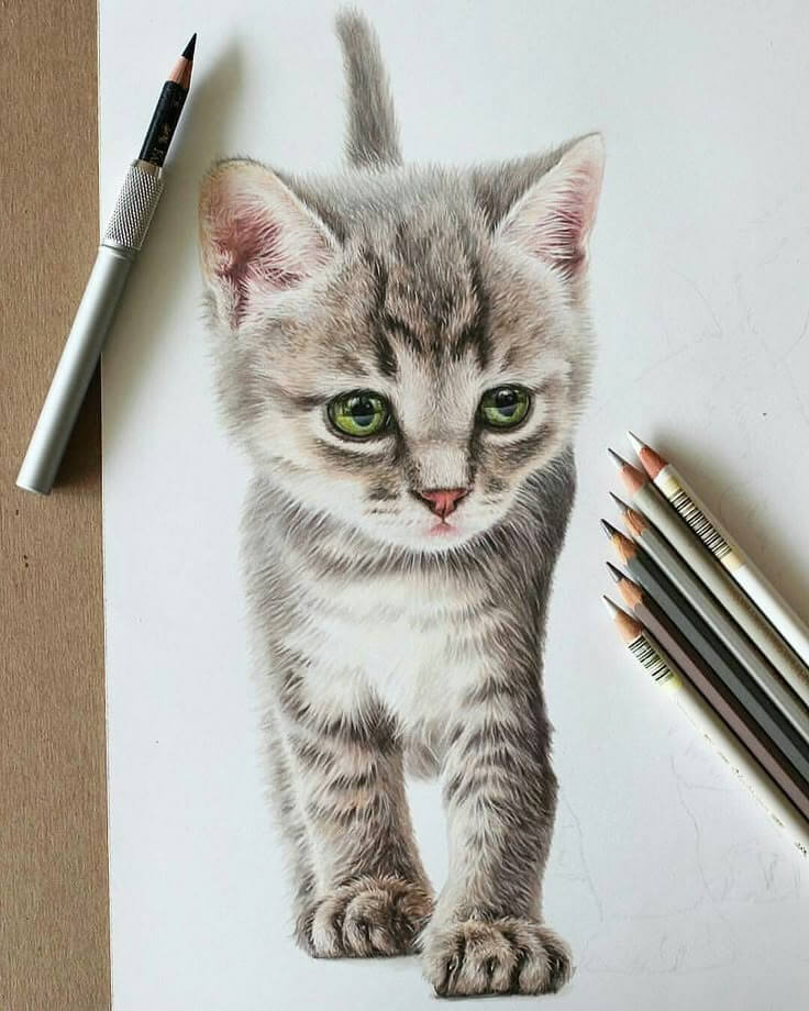 This may contain: a pencil drawing of a kitten with green eyes and one paw on the ground next to some colored pencils