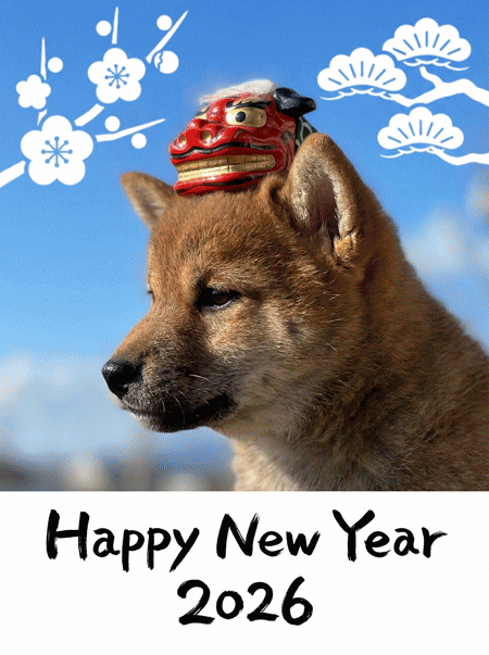 様々なペット年賀状 様々なペット年賀状