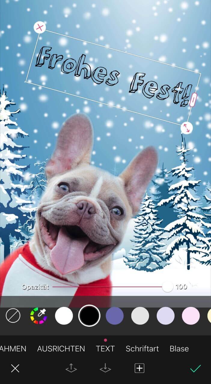 Weihnachtskarten beschriften! Füge mit der Textfunktion von YouCam Perfect deinen Text hinzu.