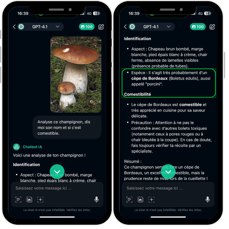Identifier champignon gratuit IA / reconnaître un champignon gratuitement