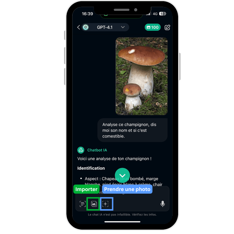 Importer image et ecrire prompt pour identifier et reconnaître le champignon