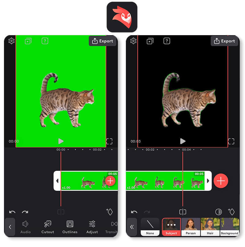 VideoLeap: Advanced Green Screen Editing App for Creative Projects VideoLeap green screen app showcasing advanced chroma key video editing tools for artistic effects.