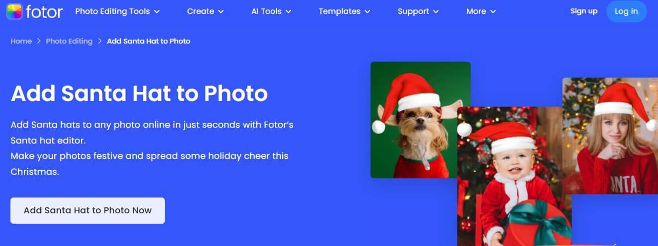 Screenshot des Fotor Online-Editors.