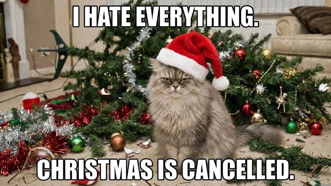 50+ Funny Christmas Memes, Videos & Images 2025 [FREE Download]