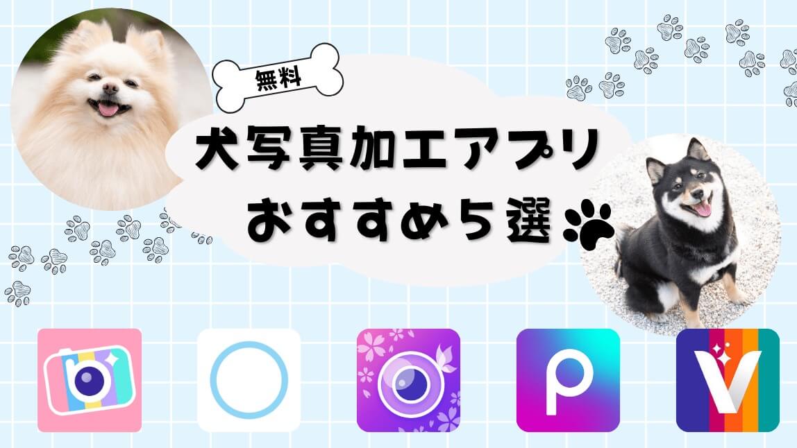 犬写真加工アプリ無料