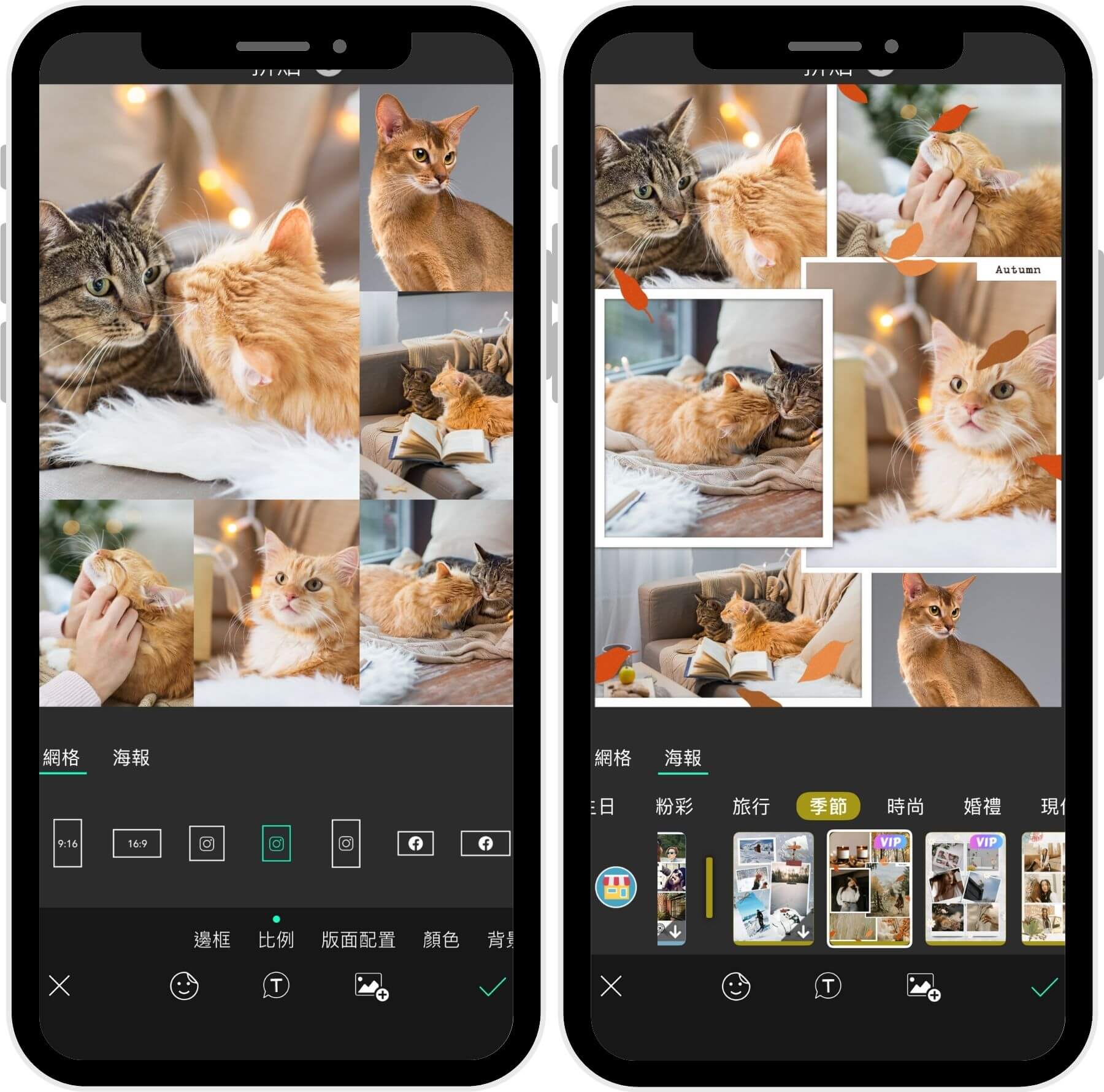 使用拼貼功能將直橫圖一起放 IG 照片尺寸、IG 貼文尺寸、Instagram 多張照片不同尺寸、IG 直的橫的一起放