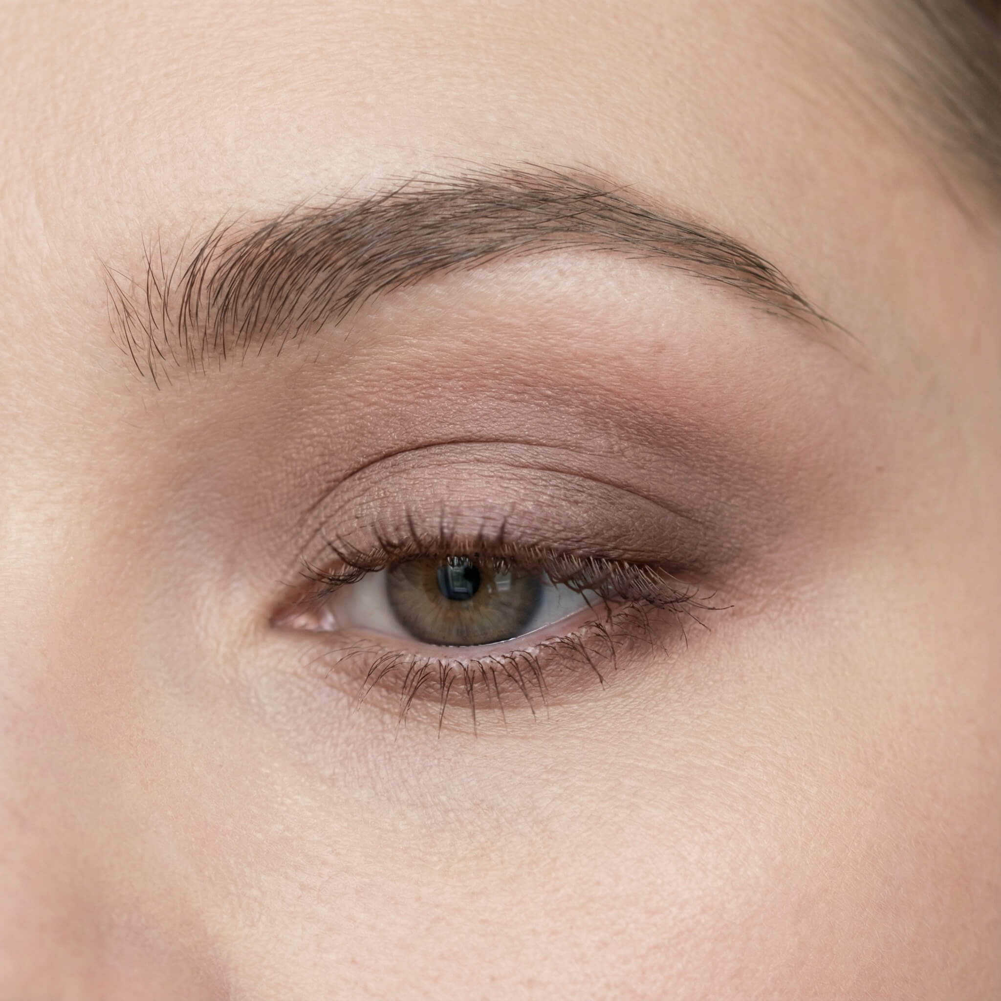 Neutral Everyday Palettes Neutral Everyday Palettes