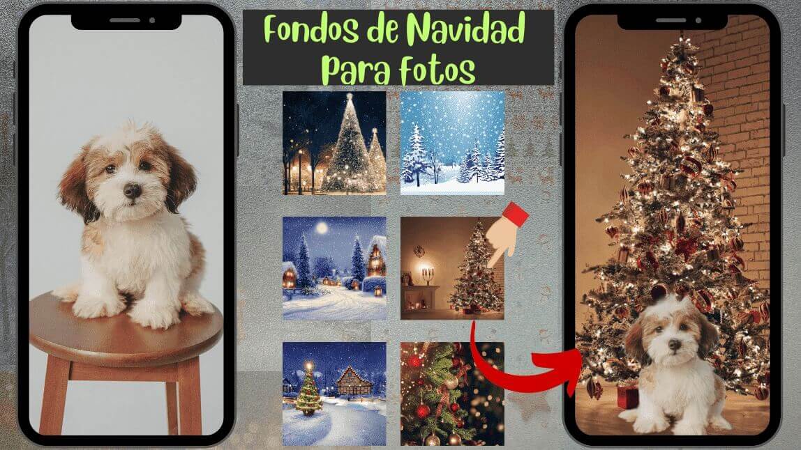poner fondos Navideño a una foto