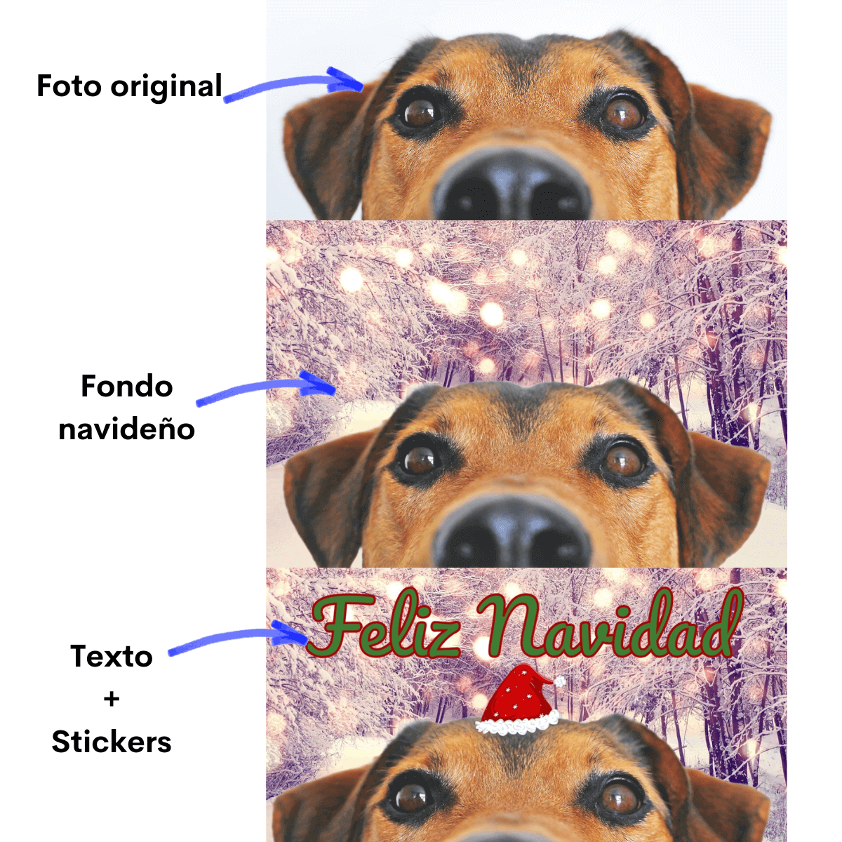 fondos de navidad para fotos