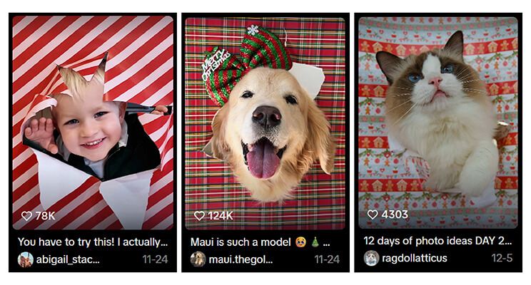 What Is the Wrapping Paper Trend? What Is the Wrapping Paper Trend?