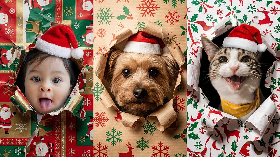Wrapping Paper Trend: How to Create Viral Wrapping Paper Photoshoot with AI