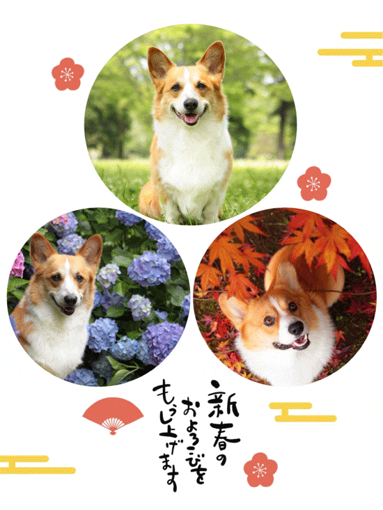 コラージュ年賀状 コラージュ年賀状