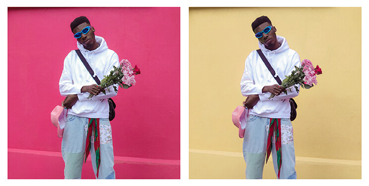 Gemini AI Photo Prompt 6. Image Color Change