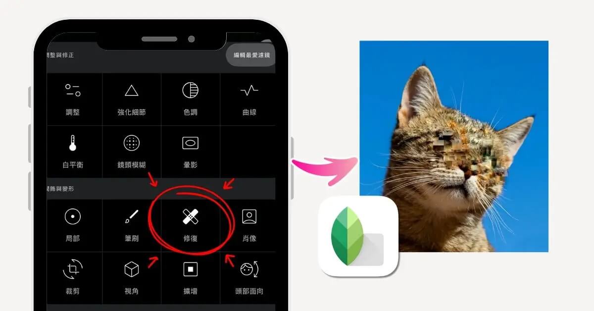 Snapseed 照片去馬賽克實測