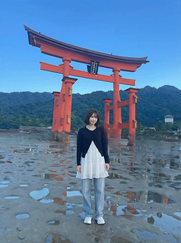 消しゴムマジック処理の前後の比較GIF