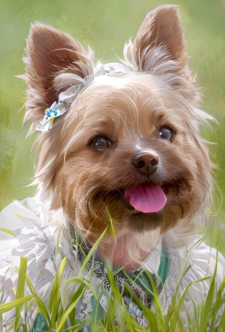 『YouCam AI Pro』で加工したペットの画像