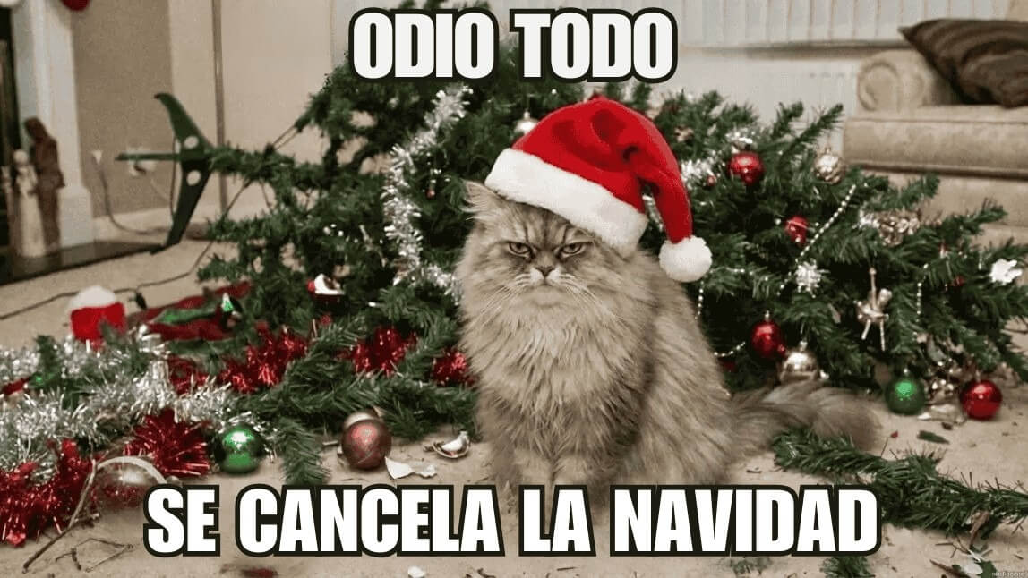 Más de 50 memes de Navidad chistosos y videos graciosos de Navidad 2025 [DESCARGA GRATIS]