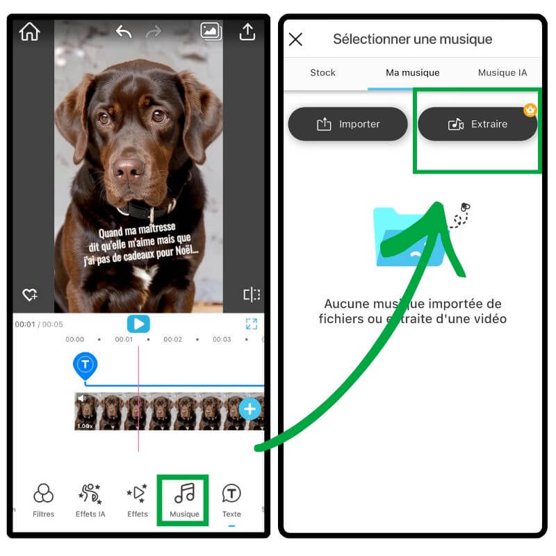 Créer video trend le mal aimé