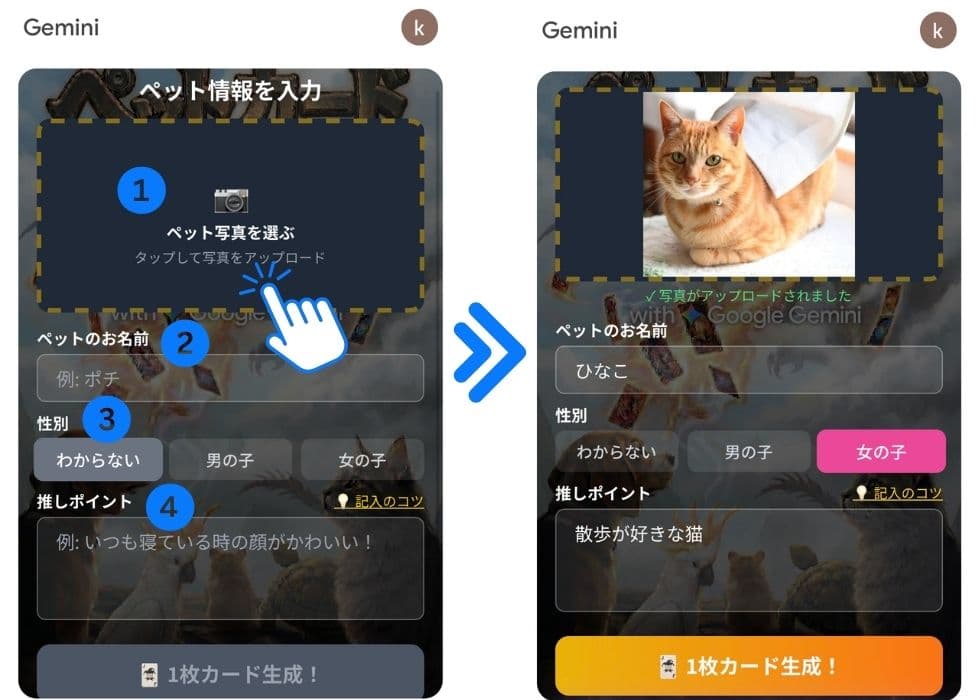 ペットの写真をアップし、情報を入力 ペットの写真をアップし、情報を入力