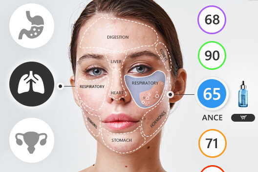 face mapping skin analysis