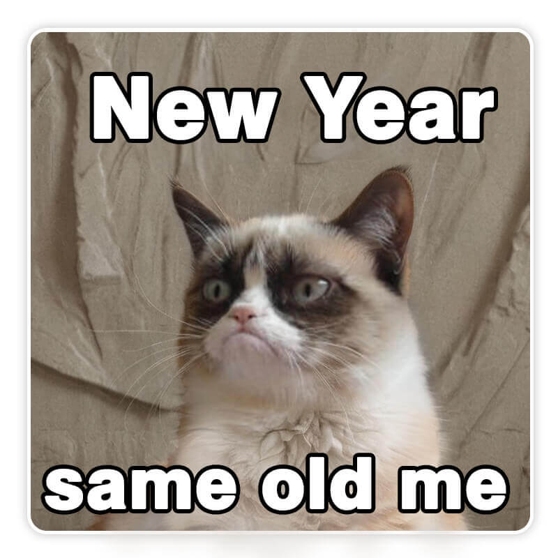 Meme de gato celebrando o ano novo gerado por IA