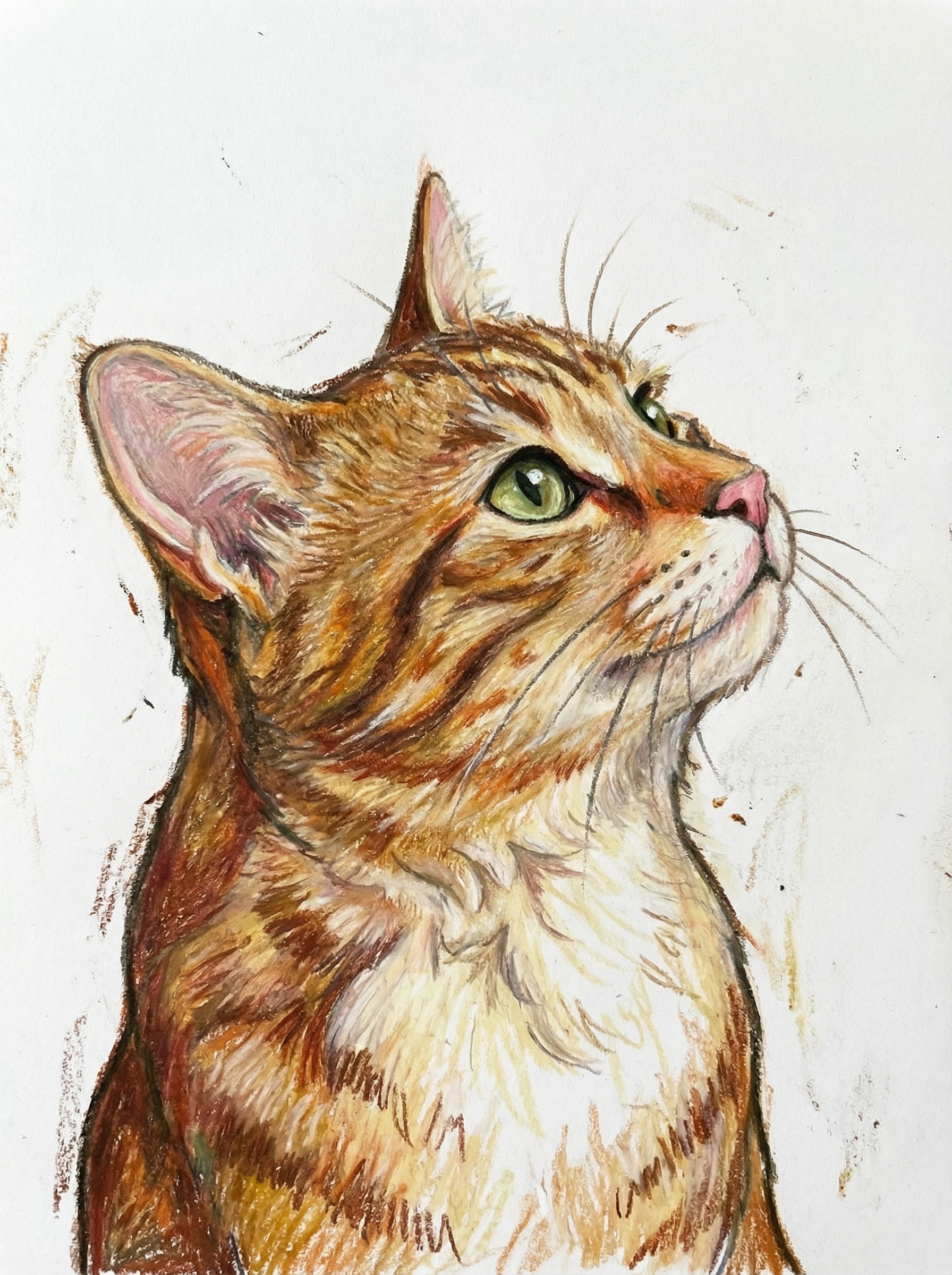 大人のリラクゼーションツールとして