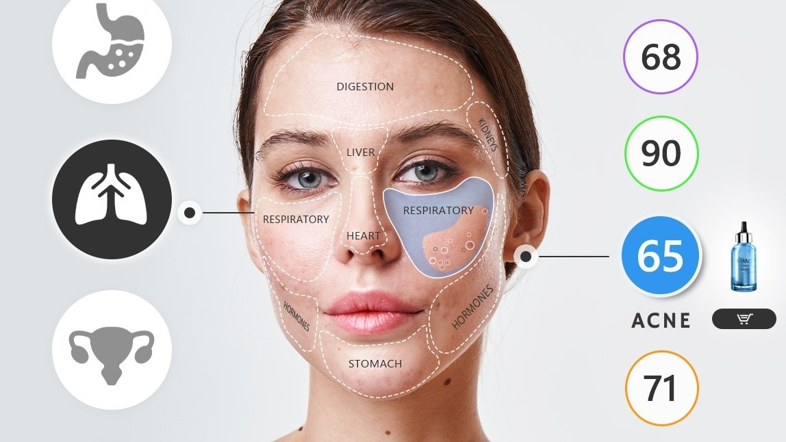 face mapping skin analysis