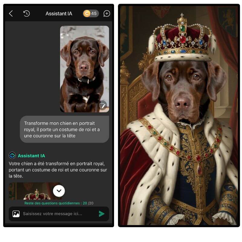 Créer portrait personnalisé animaux : chien en roi