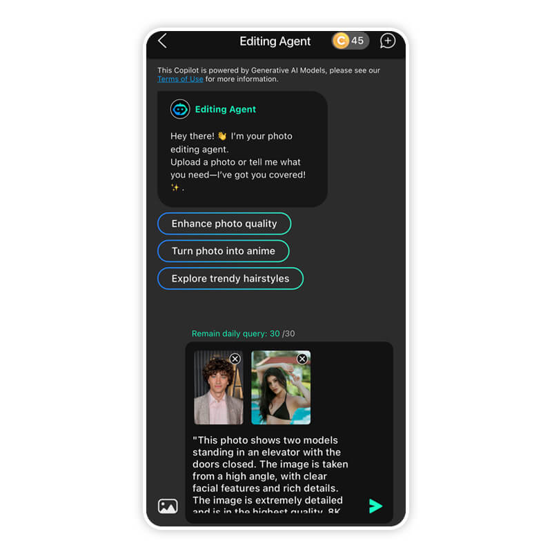 Campo de texto para inserir o comando no Agente de Edição do YouCam Perfect