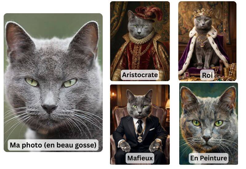 Créer portrait personnalisé animaux, chat aristocrate