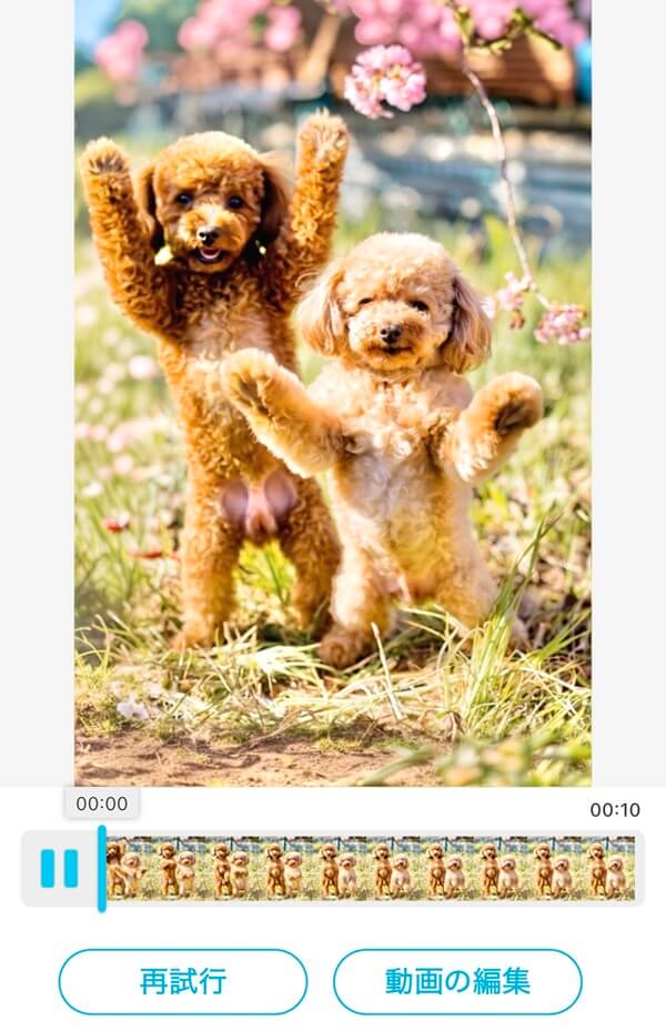 履歴を確認 履歴を確認