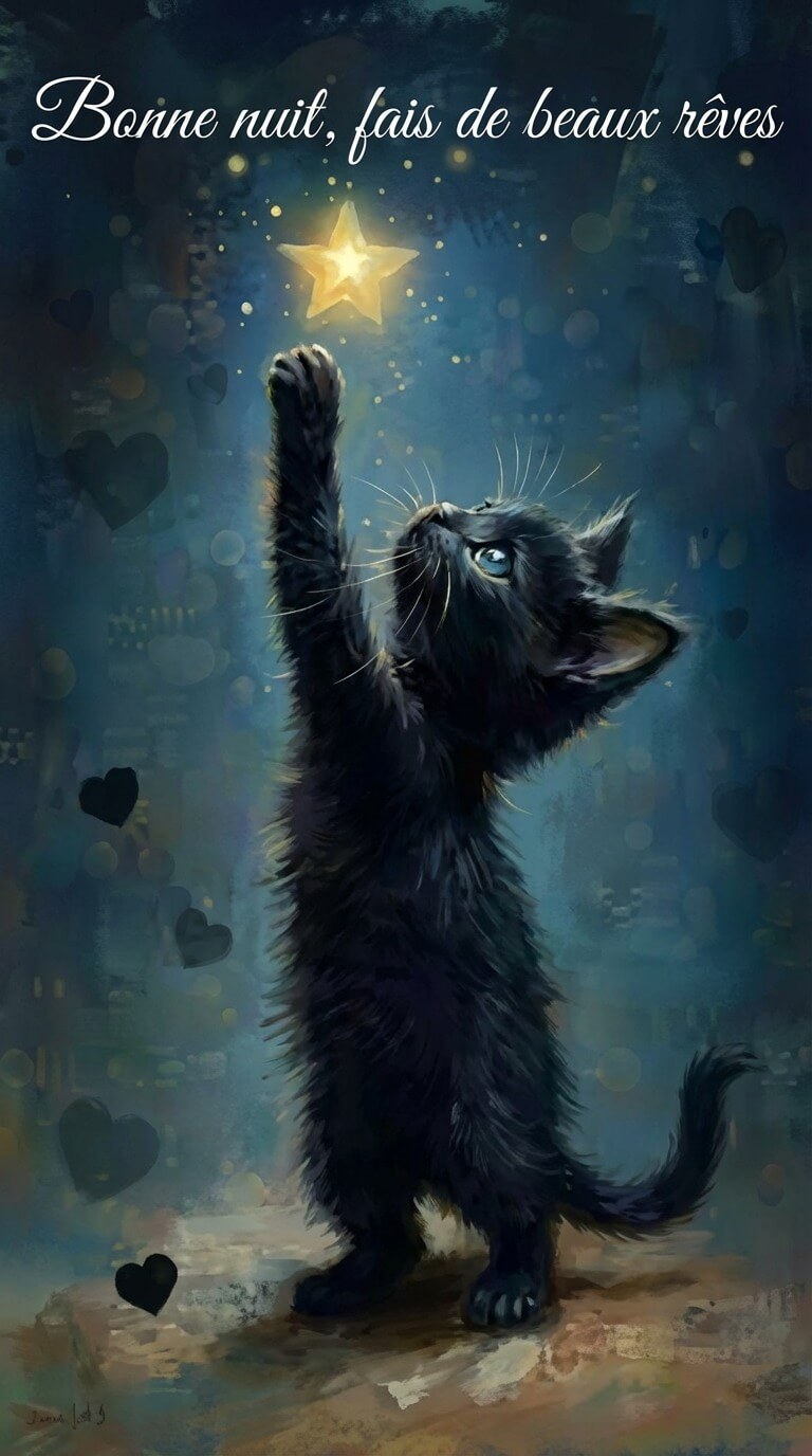 Images gratuites chats bonne nuit fais de beaux rêves