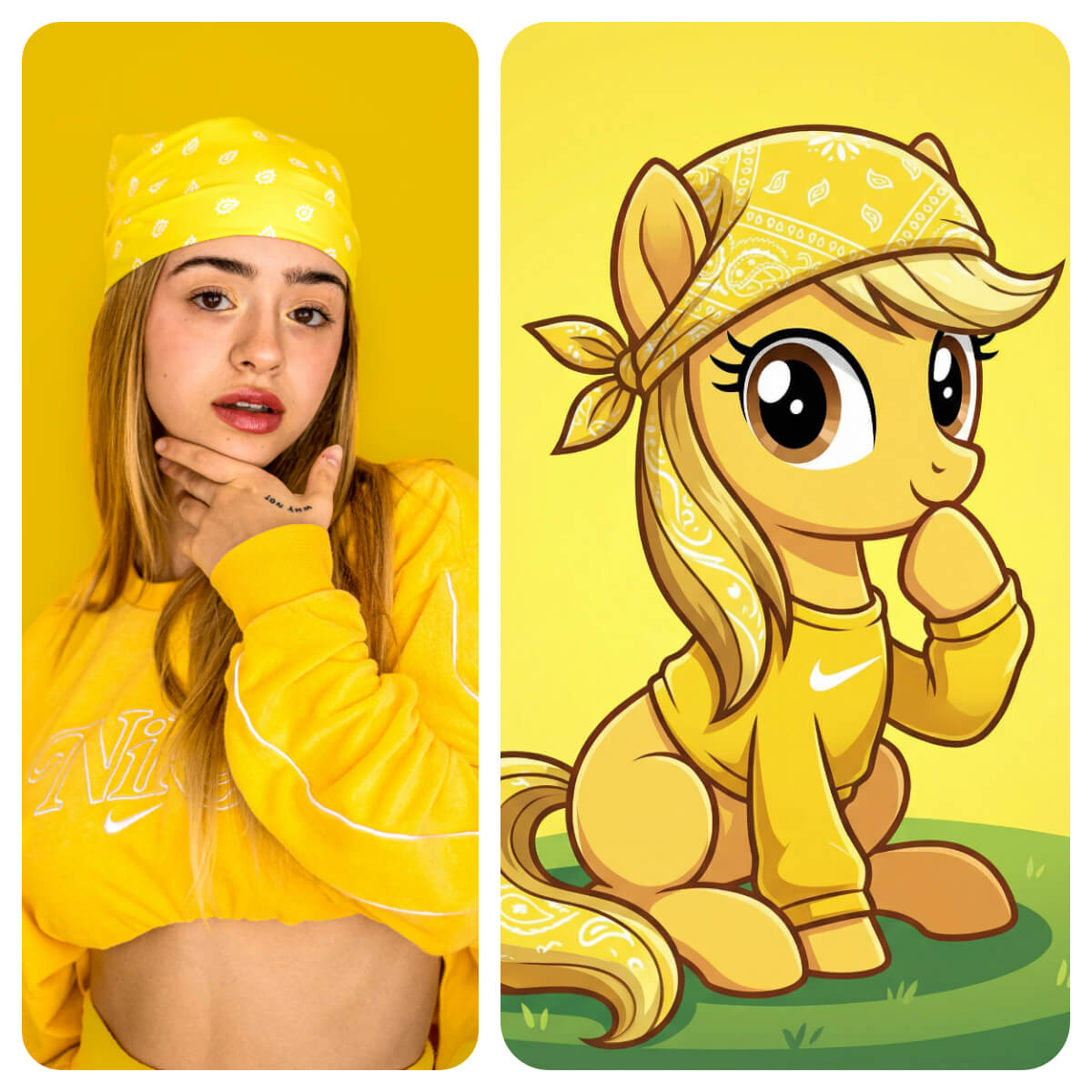 Resultado final da transformação my little pony